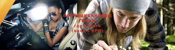 эйфоретик Бородино