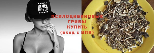 эйфоретик Бородино