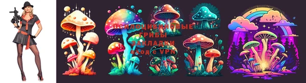 сатива Бугульма