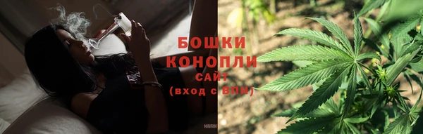 эйфоретик Бородино