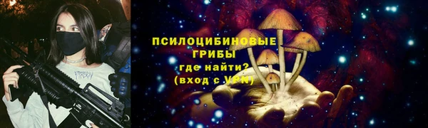 соль ск Бронницы