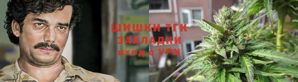 PSILOCYBIN Богородицк