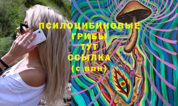 PSILOCYBIN Богородицк