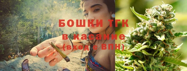 эйфоретик Бородино