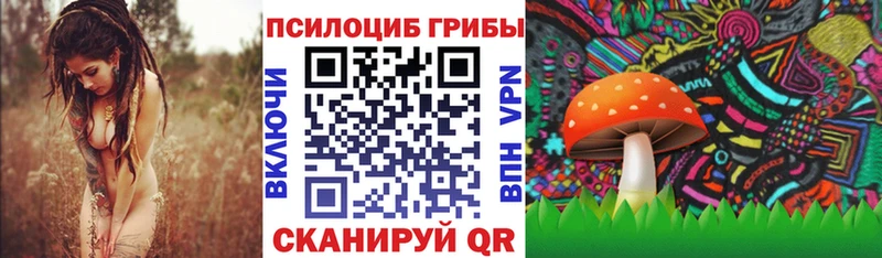 продажа наркотиков  Вуктыл  Псилоцибиновые грибы ЛСД 